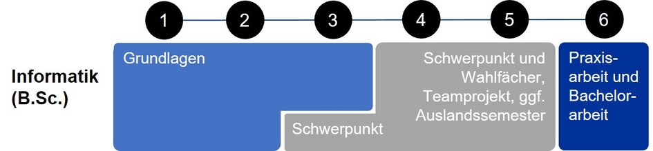 Grundlagen, Schwerpunkt und Wahlfächer, Praxisprojekt und Bachelorarbeit