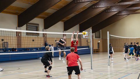 Bild von der Volleyball-N8 (öffnet Vergrößerung des Bildes)