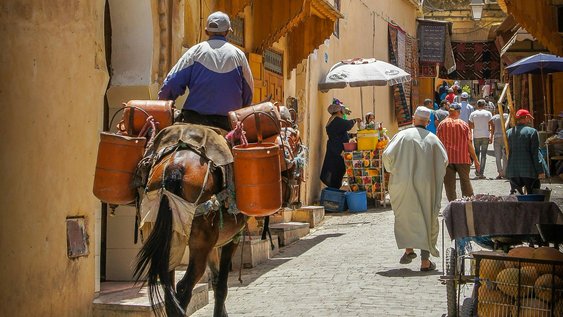 Arabischkurse